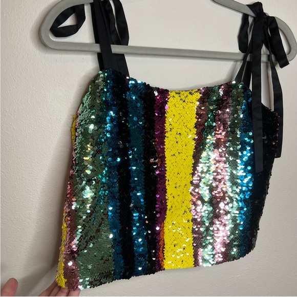 Zara Multicolored Sequin Striped Crop Top Size Small NWT - Picture 5 of 10